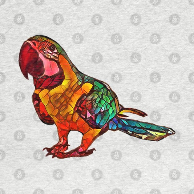 Colorful Parrot Design by Sanzida Design